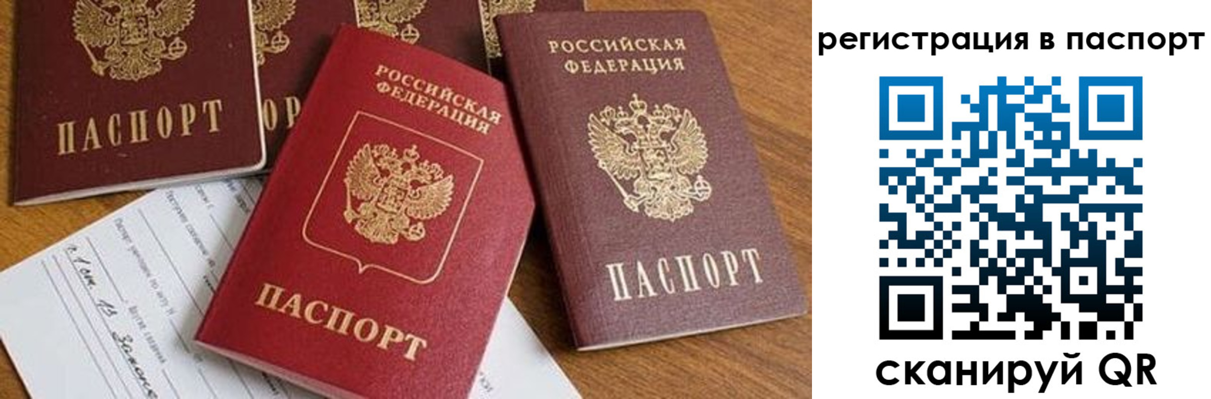 прописка в Мурино